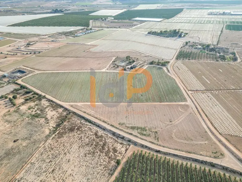 Venta Parcela 66000m2 San Francisco Huercal Overa