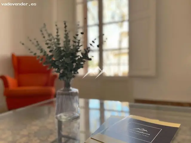 Piso Señorial Centro Palma 235m2 Techos Altos Ascensor Aparcamiento