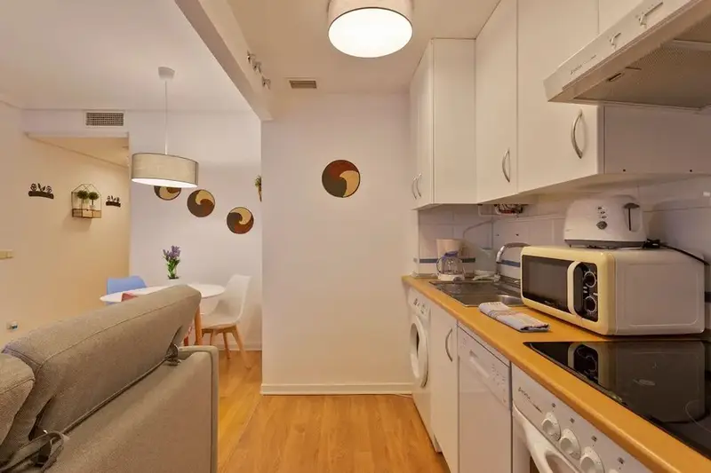 Apartamento 1 Dormitorio Madrid Alquiler