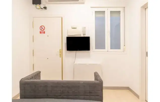 Estudio 25m² Madrid Centro Plaza Mayor El Rastro