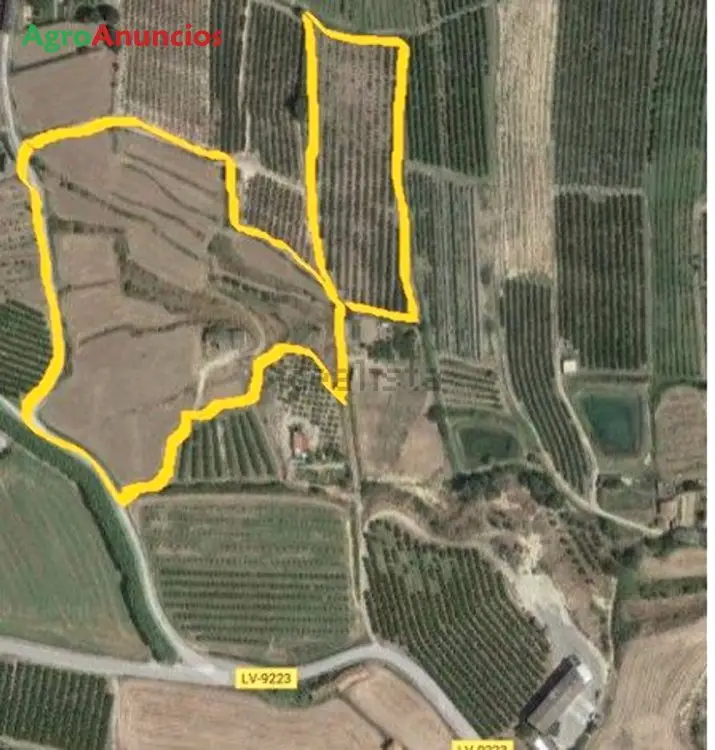 Venta Terreno Regadío Lleida Vilanova de Segria