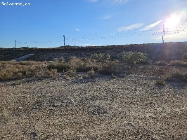 Parcela en Venta en Elda Alicante 20500m2
