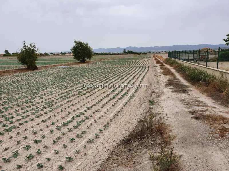 Terreno Rustico Urbanizable Lorca 5660m2