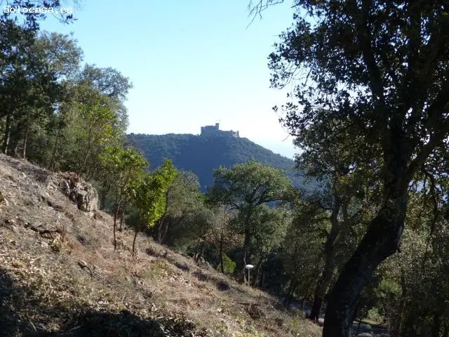 Parcela en Fogueres de Montsoriu Arbúcies Girona