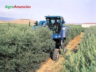 Venta  de Fincas superintensivo en Tarragona