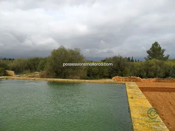 Finca Rustica Inca 822ha Regadio Cultivo Pozo Agua