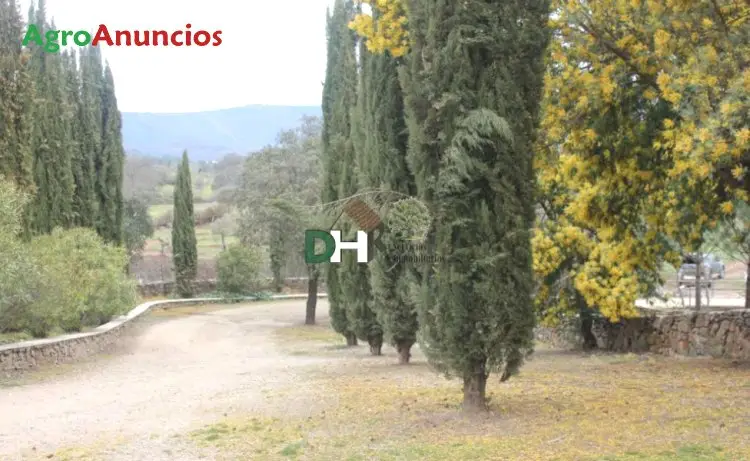 Venta  de Finca de recreo con caserío de piedra en Cáceres