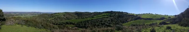 Venta Terreno Rustico Patria Vejer de la Frontera 28000m2