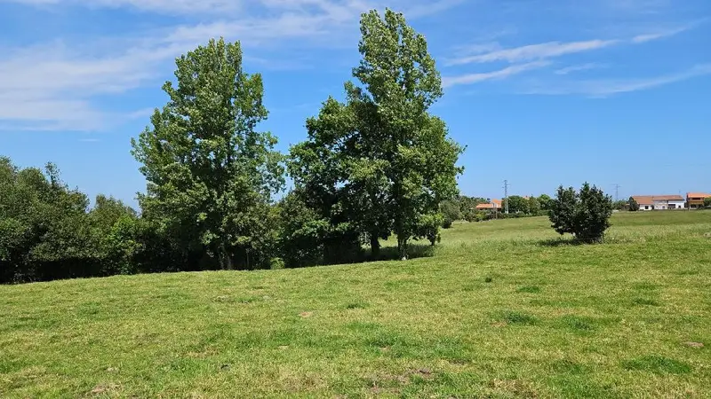 Venta Parcela Quintes Villaviciosa 2600m2 Edificable 300m2