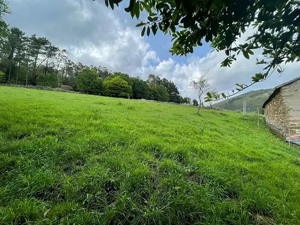 Casa de Piedra en Boal Asturias para Rehabilitar