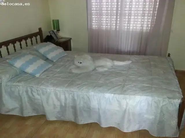 Piso en Venta Higueruela Albacete 4 Dormitorios Terraza Barbacoa