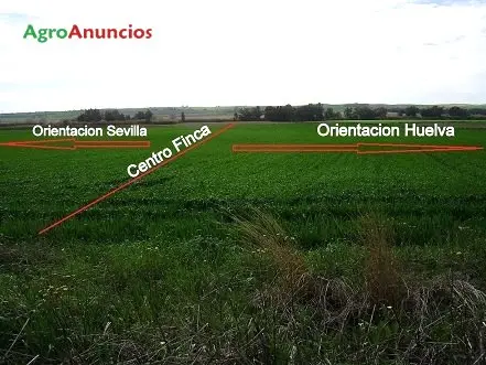 Venta  de Finca de secano en Sevilla