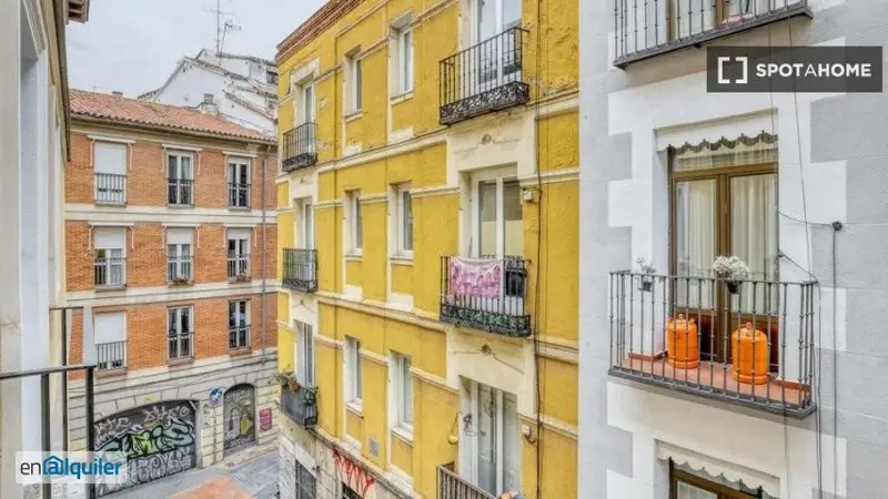Apartamento 1 Dormitorio Madrid Alquiler