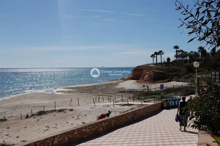 Atico 2 Dormitorios Mil Palmeras Costa Blanca