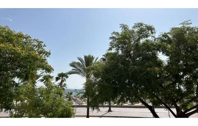 Apartamento 4 Dormitorios 114m2 Palmanova Vistas al Mar