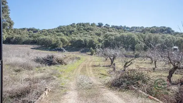 Cortijo con 6 Hectareas en Iznalloz Granada