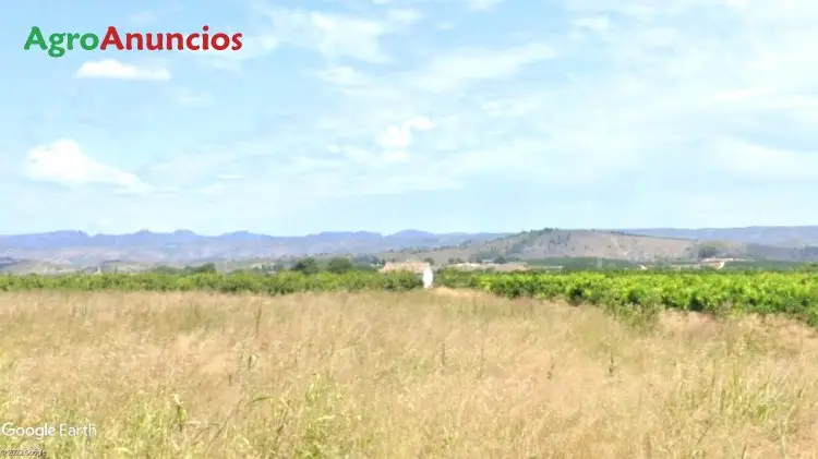 Venta  de Finca regadío con caseta en Valencia