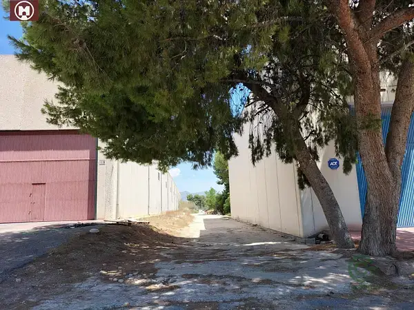 Finca Rustica Alicante 157ha con Vivienda y Almacén