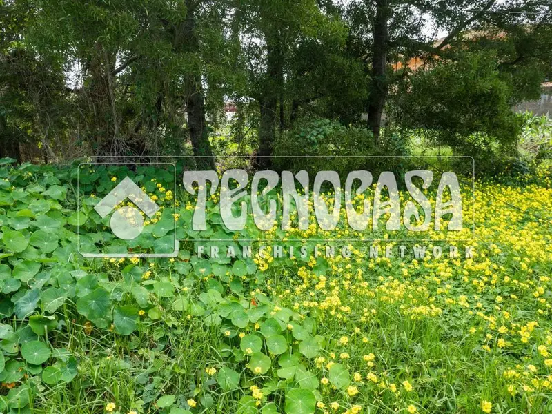 Terreno en Venta Guamasa Tacoronte 569m2 Edificable