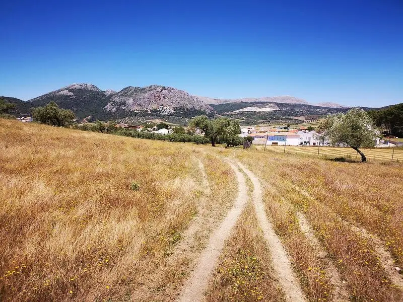 Terrenos en Venta Periana Malaga Ideal para Desarrolladores