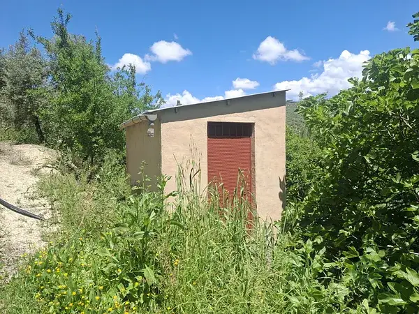 Huerta con 145 Olivos en Venta La Iruela Jaen
