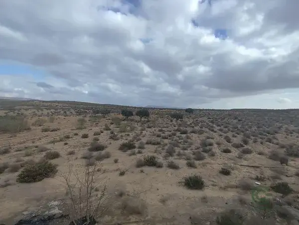 Parcela Regadío Nijar Almería 34300m2 Cultivo Solar