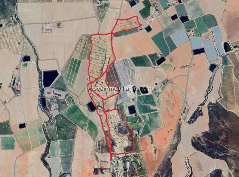 Parcelas Rusticas en Venta Totana 118000m2