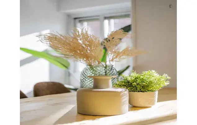 Apartamento 16 Dormitorios Madrid Alquiler 3-24 Meses