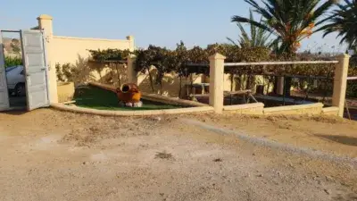 Finca Rustica en Venta Los Silos 6000m2