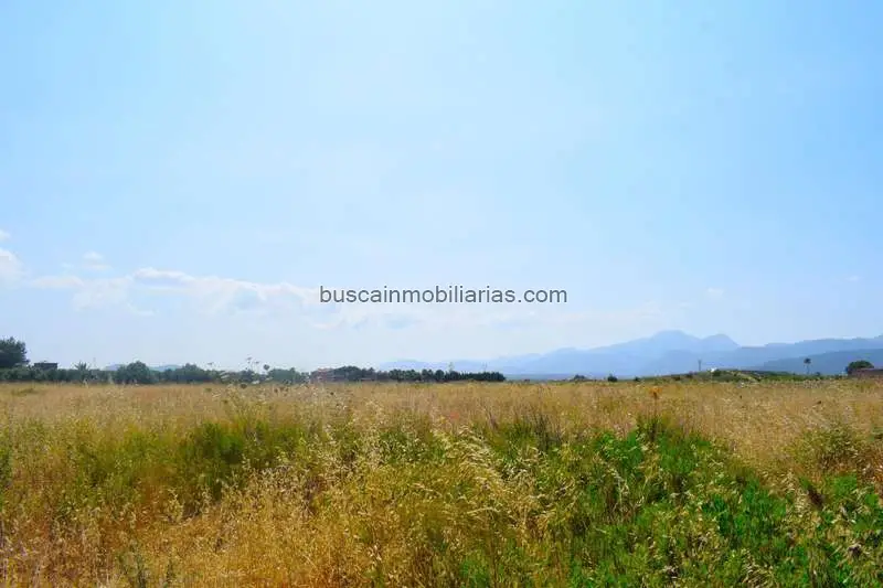 Finca Rustica Muro con Proyecto Aprobado Vivienda Piscina