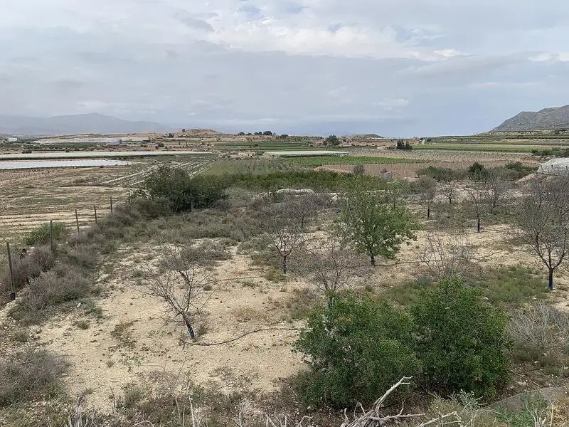 Terreno en Venta cerca de Alicante - Ideal para Chalet con Piscina
