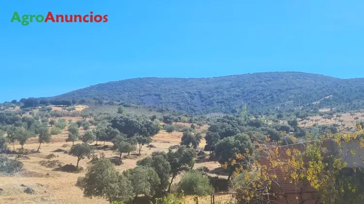 Venta  de Finca rústica en Toledo