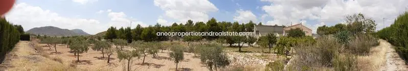 Chalet Villa en Monóvar con Gran Potencial de Negocio