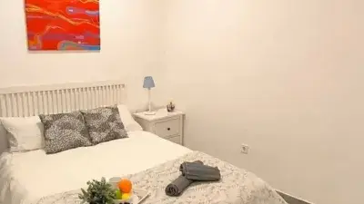 Estudio Centrico Madrid Alquiler Temporada Cerca Sol