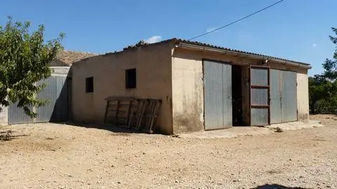 Finca Rustica 17 Hectareas Baix Ebre
