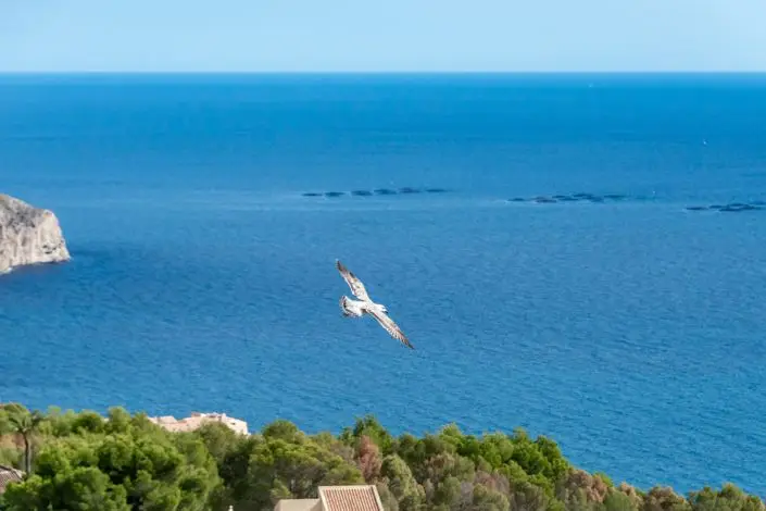 Apartamento en Altea Hills con Vistas al Mar 2 Dormitorios