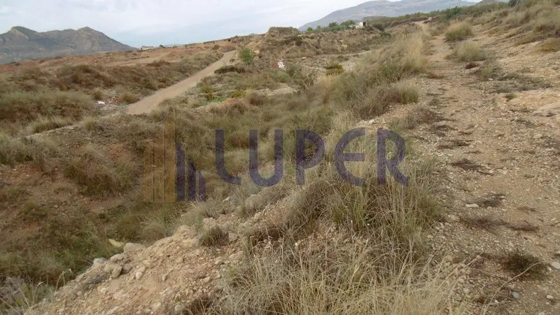 Venta Terreno Rustico Agost 10800m2