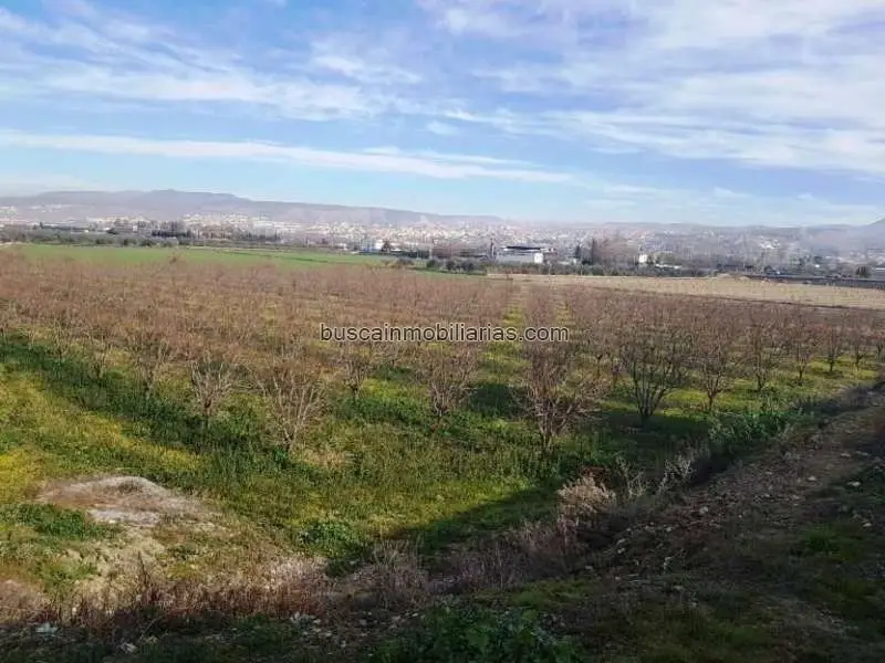 Parcela Rustica en Venta La Zubia 2084m2