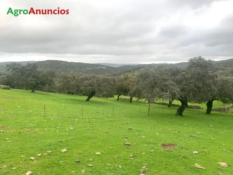 Venta  de Finca con dehesa en Huelva