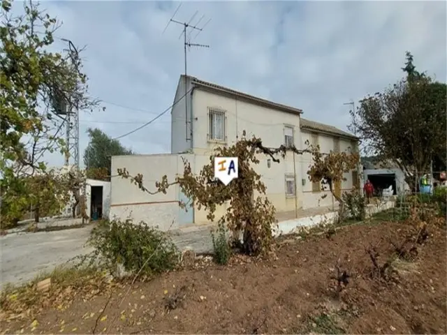 Adosado 3 Dormitorios Viñedo Monturque