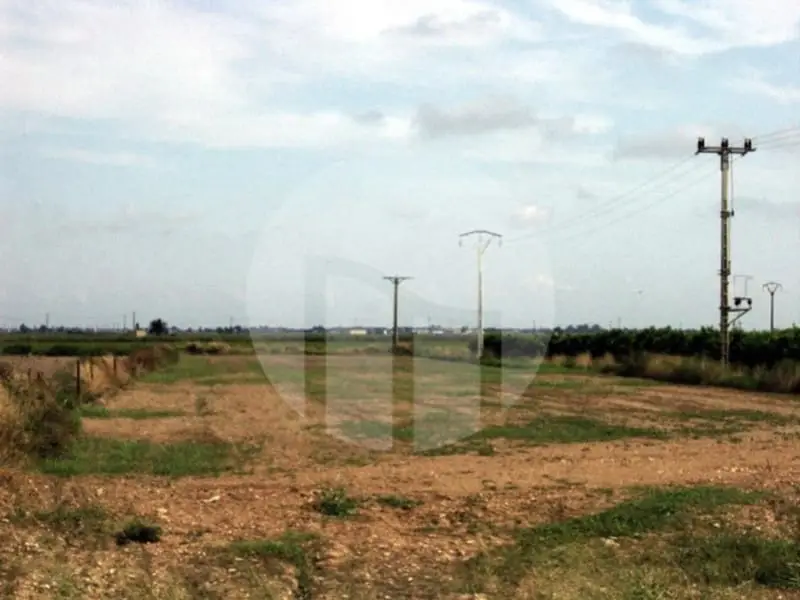 Terreno Rustico en Camarles Tarragona Ideal para Cultivo