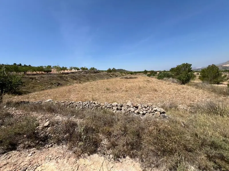 Terrenos Rusticos en Venta Barbarroja Alicante Vistas Montaña