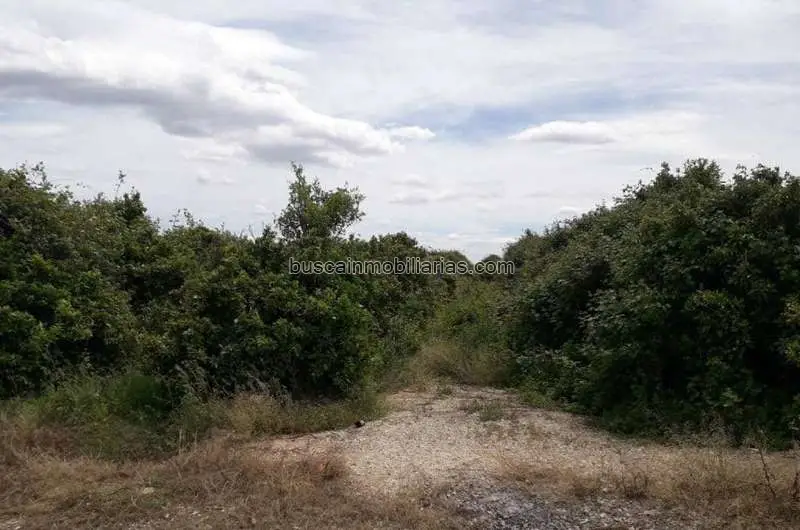 Parcela Rustica en Venta Alberic