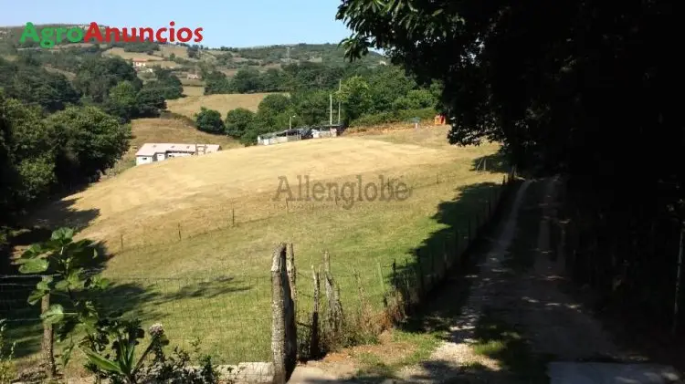 Venta  de Finca edificable en Asturias