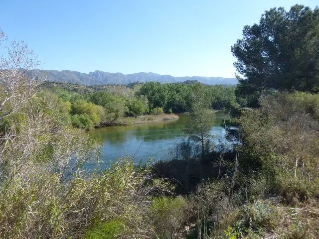 Venta Finca Rustica en Xerta con Vistas al Rio Ebro