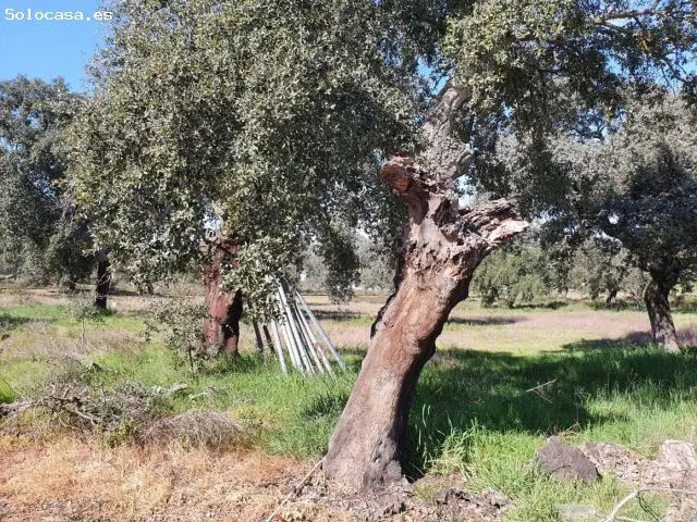Parcela En El Manantio Escriturada