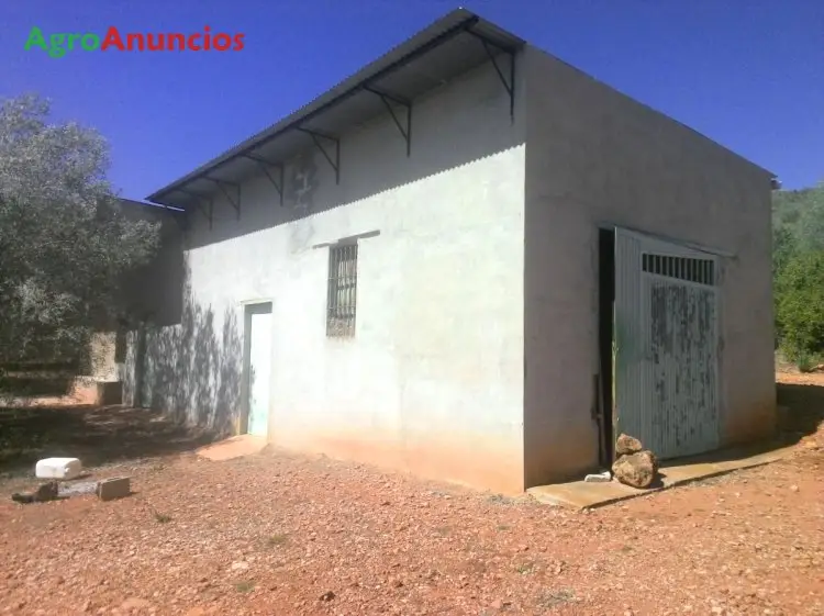 Venta  de Finca con almacén en Castellón