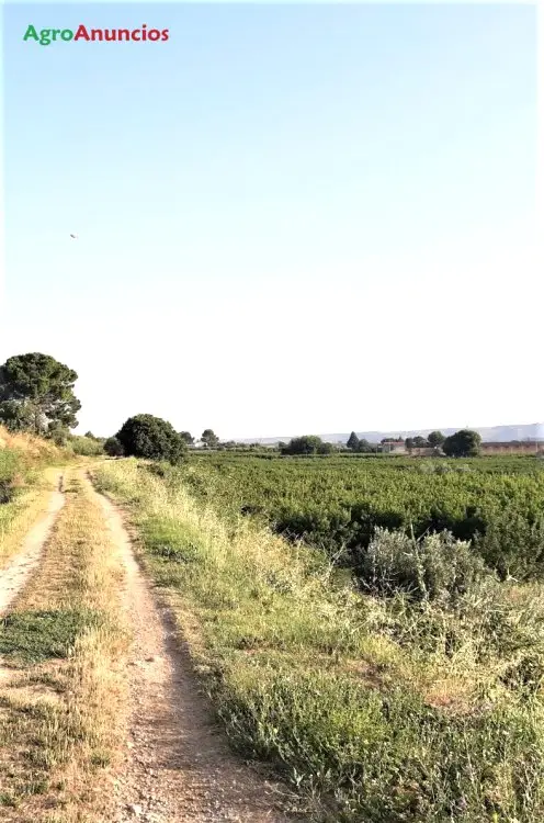 Venta  de Finca recreo frutal  y almacén en Huesca