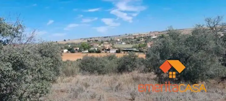 Venta Terreno Don Alvaro Merida