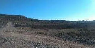 Venta Terreno Rustico Novelda 11291m2 Ref 38602